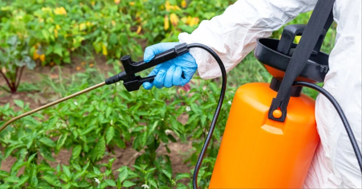 Bayer To Pay 2.25B After Roundup Weed Killer Found To Cause a Man's