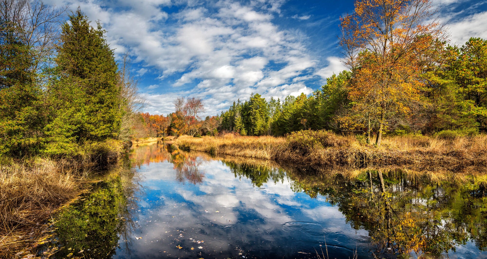 Save the Pinelands — Stop the SJ Gas Pipeline
