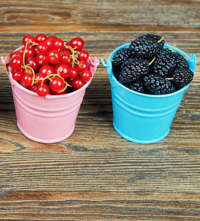 The TwoBucket Approach for Retirement Rethinking65