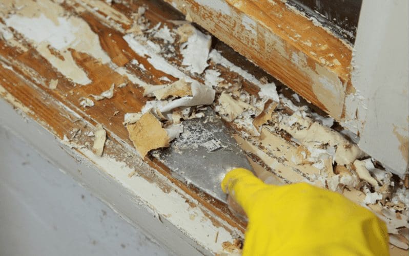How to Remove Paint From Wood in 2022 REthority