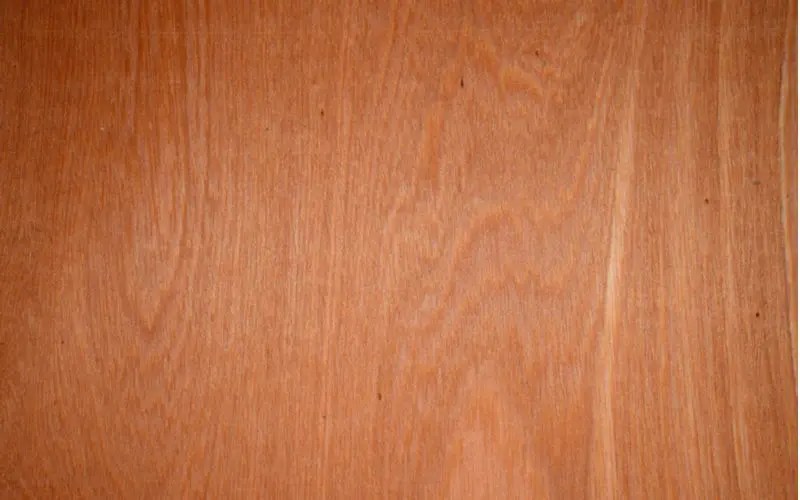 Luan Wood 101 Everything You Need to Know About