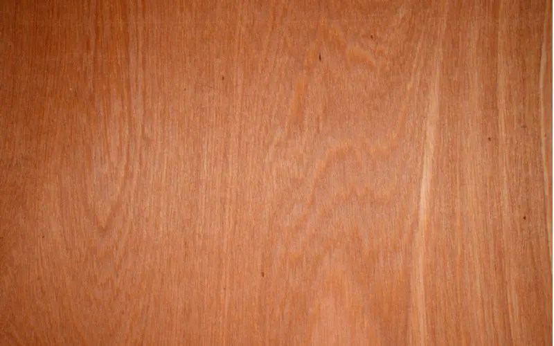 Luan Wood 101 Everything You Need to Know About