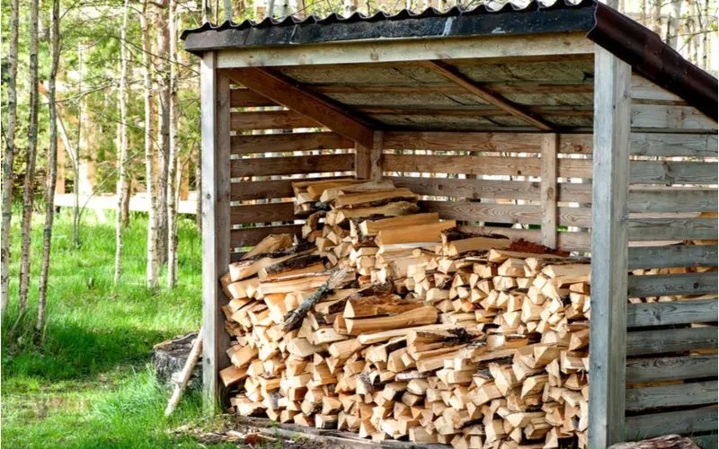 What Is a Cord of Wood? A Complete Beginner's Guide