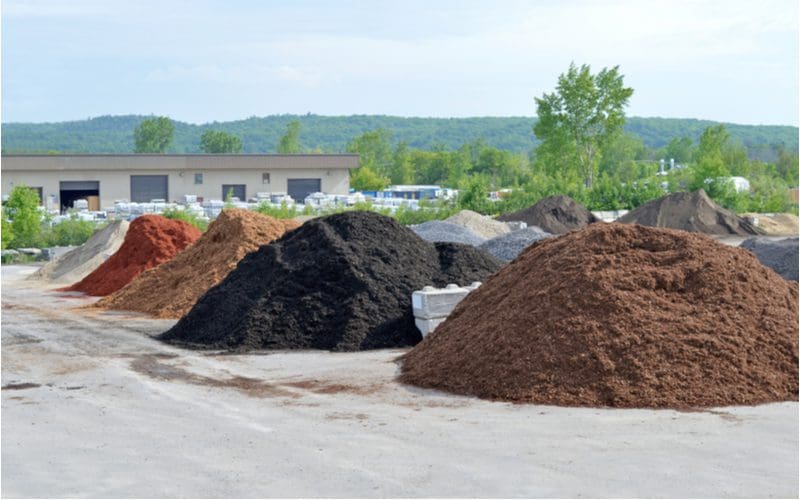 The 9 Best Mulch Alternatives for Your Home in 2024
