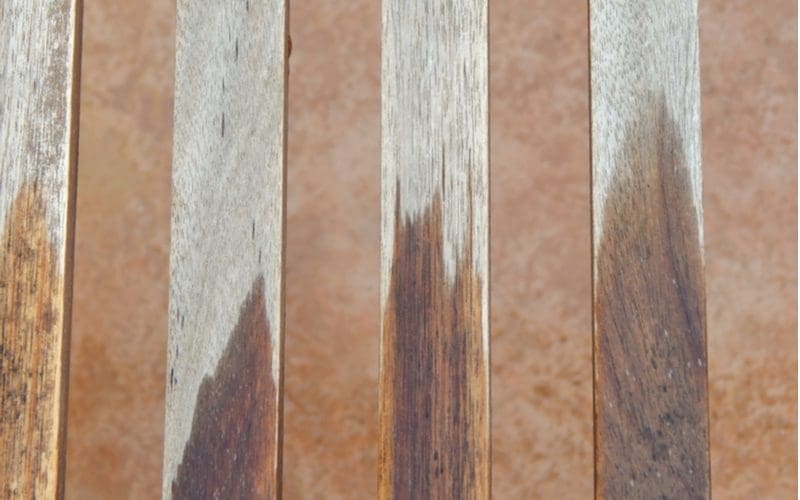 Painting Pressure Treated Wood Can It Be Done?