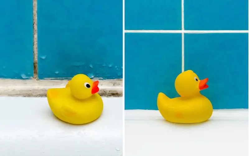 Mold in Shower Caulk? Try These Easy Fixes