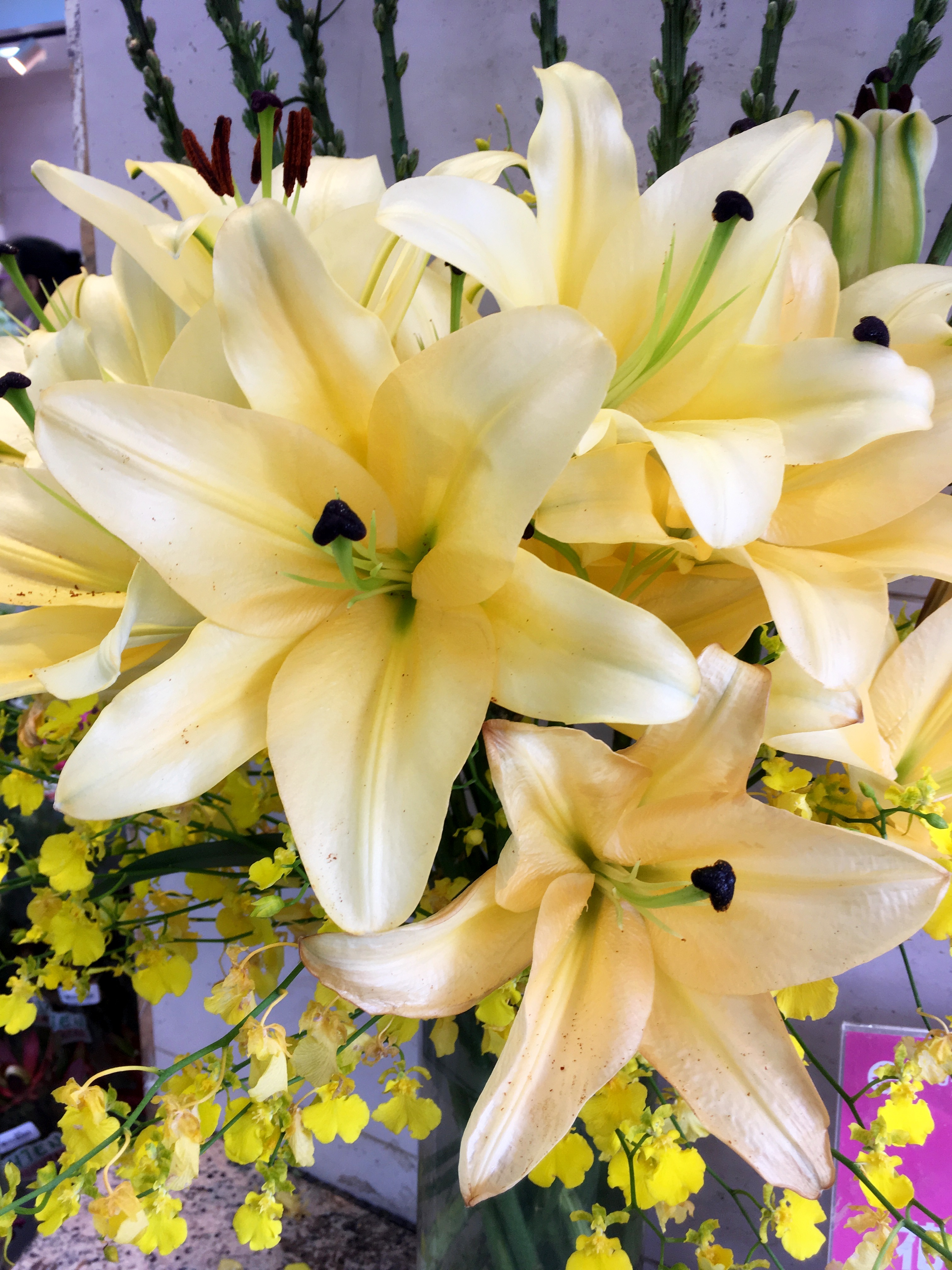 Flowers for Mom 11 retireediary