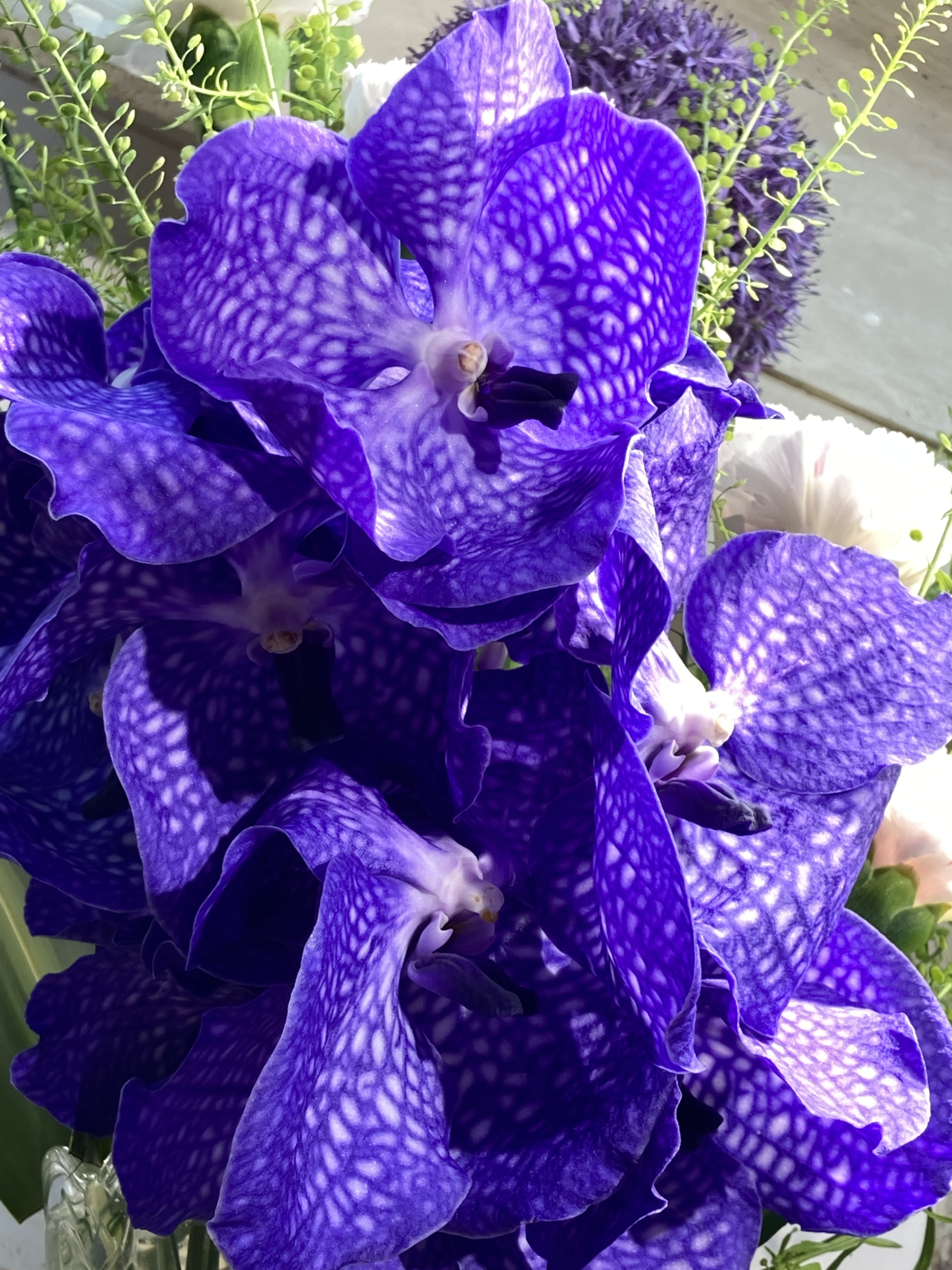 Just Flowers (2 Photos) retireediary