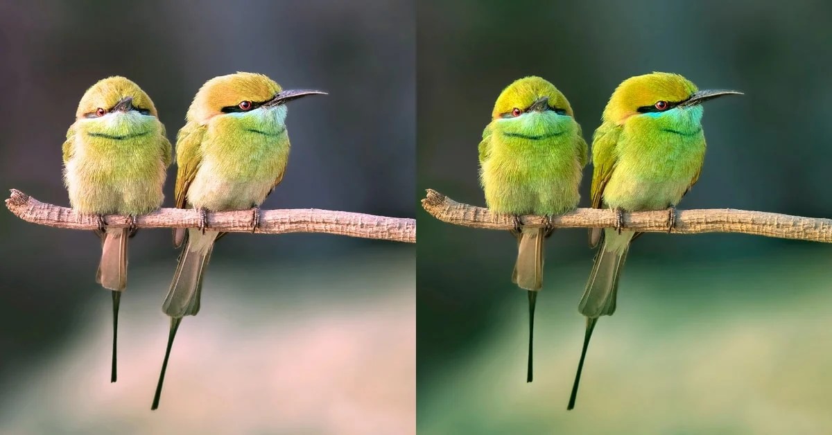 What is Color Correction A Comprehensive Guide Retouching Labs