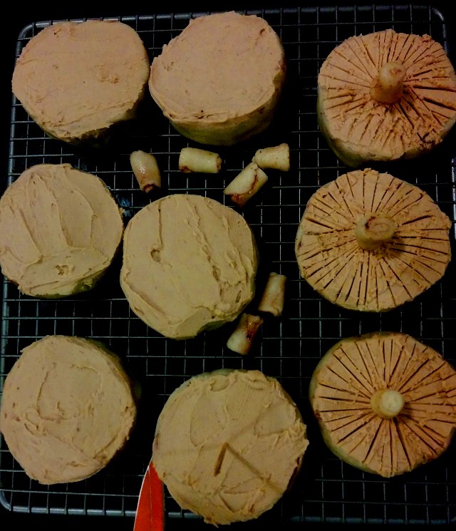 Birthday Mushroom Cake Retro Food For Modern Times