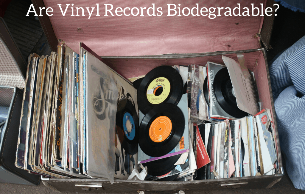 Are Vinyl Records Biodegradable? September 2024