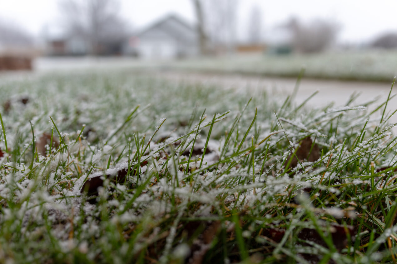 Does Snow Melt Faster on Artificial Turf or Grass? ReTurf