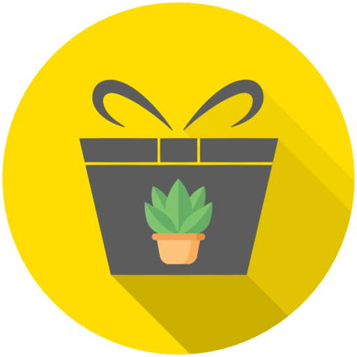 About Return Gift Plants in Chennai