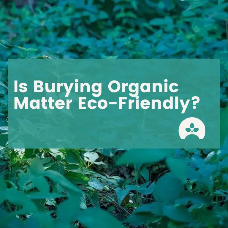 Is Burying Organic Matter EcoFriendly? Return Home