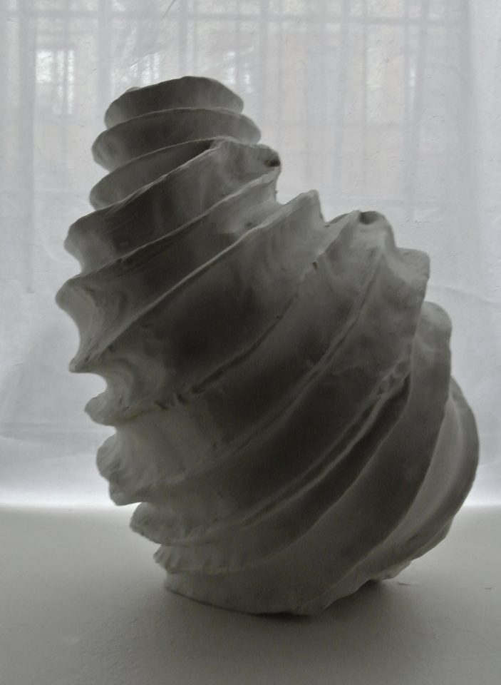 Spiral Vessels, 201718 ReubenSinha