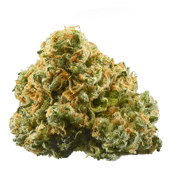PINEAPPLE EXPRESS SATIVA DOMINANT HYBRID STRAIN