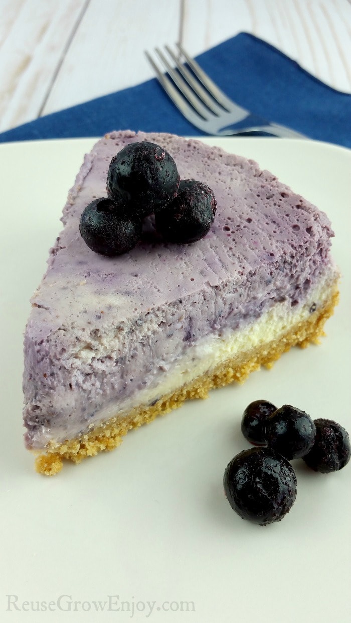 Marble Blueberry Instant Pot Cheesecake Reuse Grow Enjoy