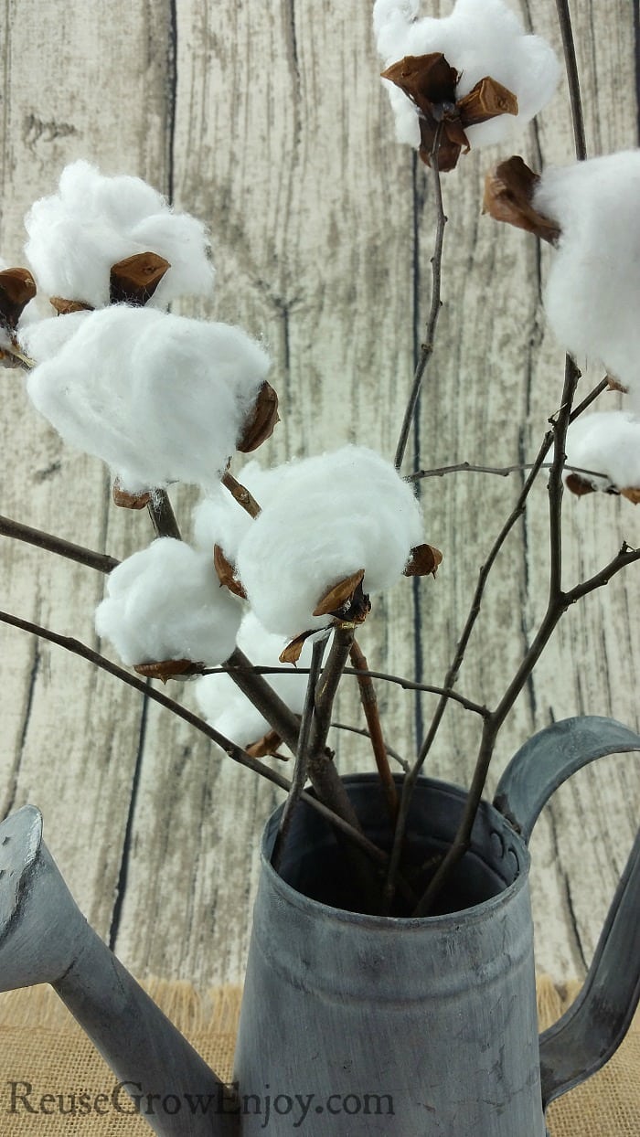 DIY Cotton Stem Farmhouse Style Decor Reuse Grow Enjoy