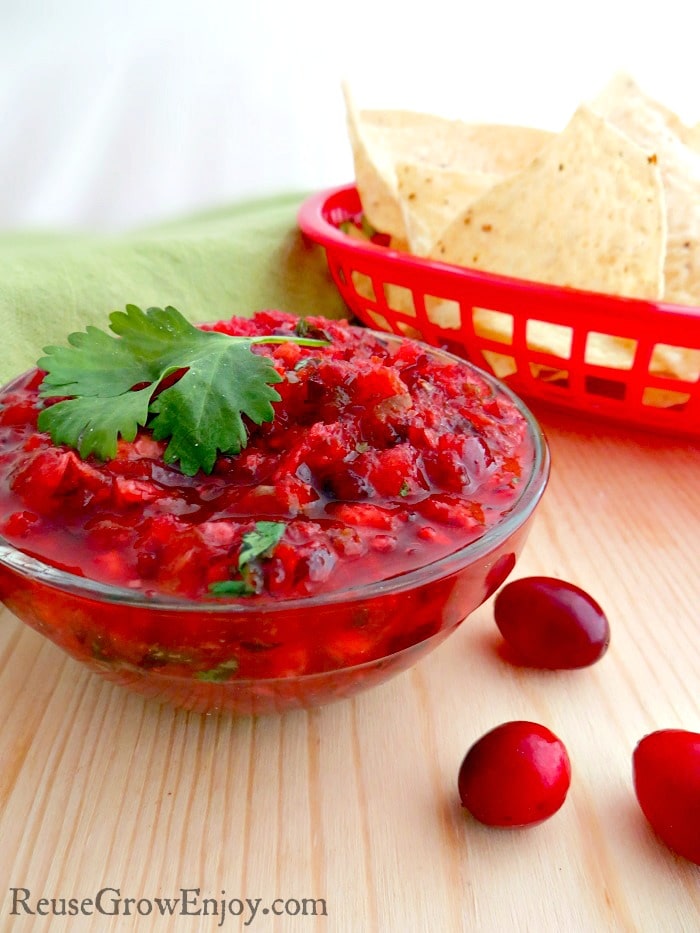 Cranberry Salsa Recipe