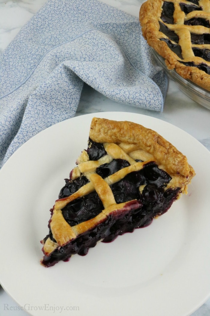 Homemade Blueberry Pie Made From Scratch Reuse Grow Enjoy