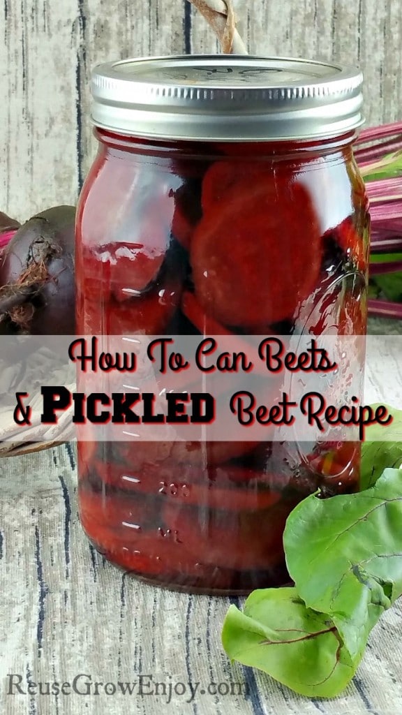How To Can Beets With Pickled Beet Recipe Reuse Grow Enjoy