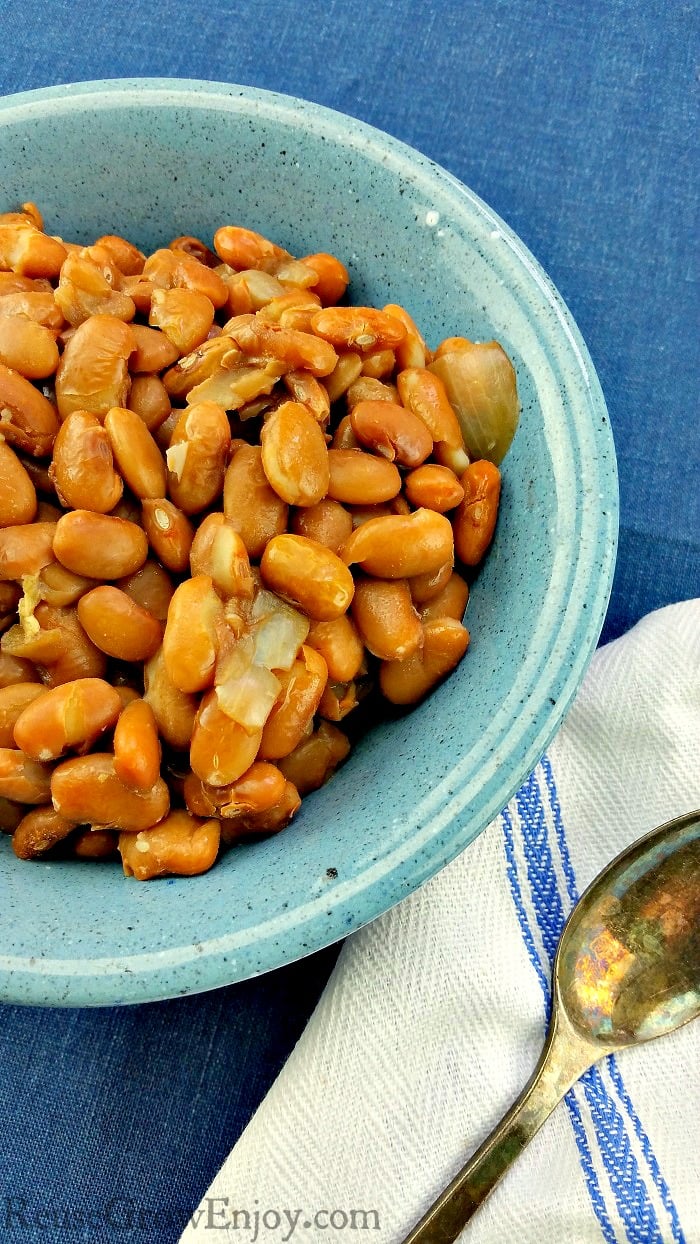 Instant Pot Pinto Beans Recipe Reuse Grow Enjoy