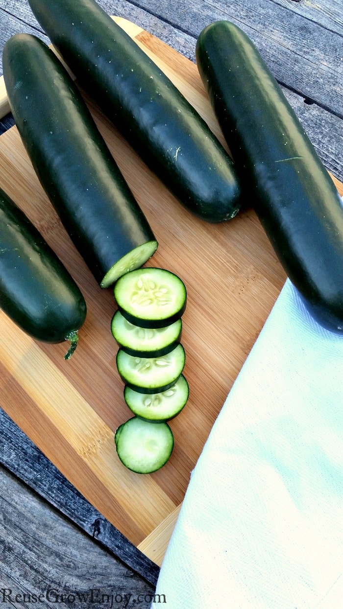 Tips On How To Grow Cucumbers Reuse Grow Enjoy
