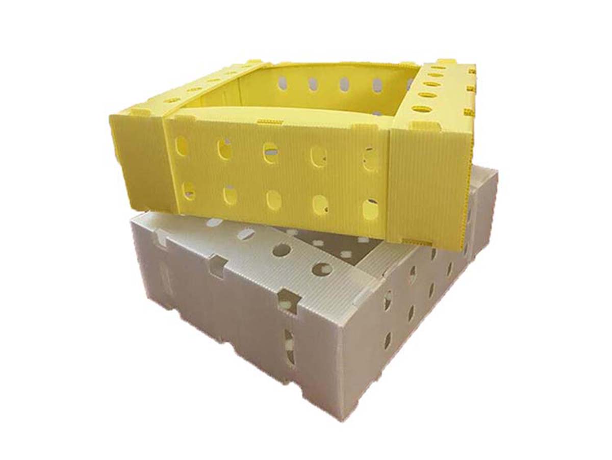 Reusable and Foldable Innovative Boxes & Totes