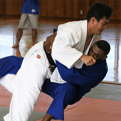 Martial Arts Balance Training Revolution Balance Boards