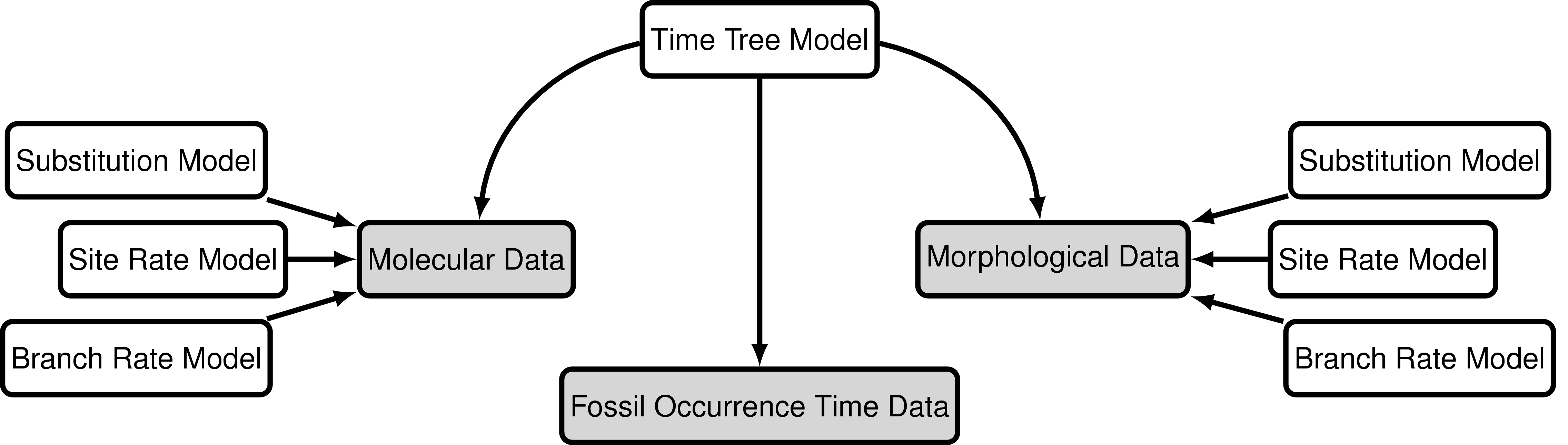 RevBayes Molecular dating