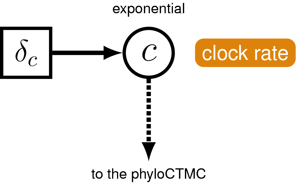 RevBayes Molecular dating