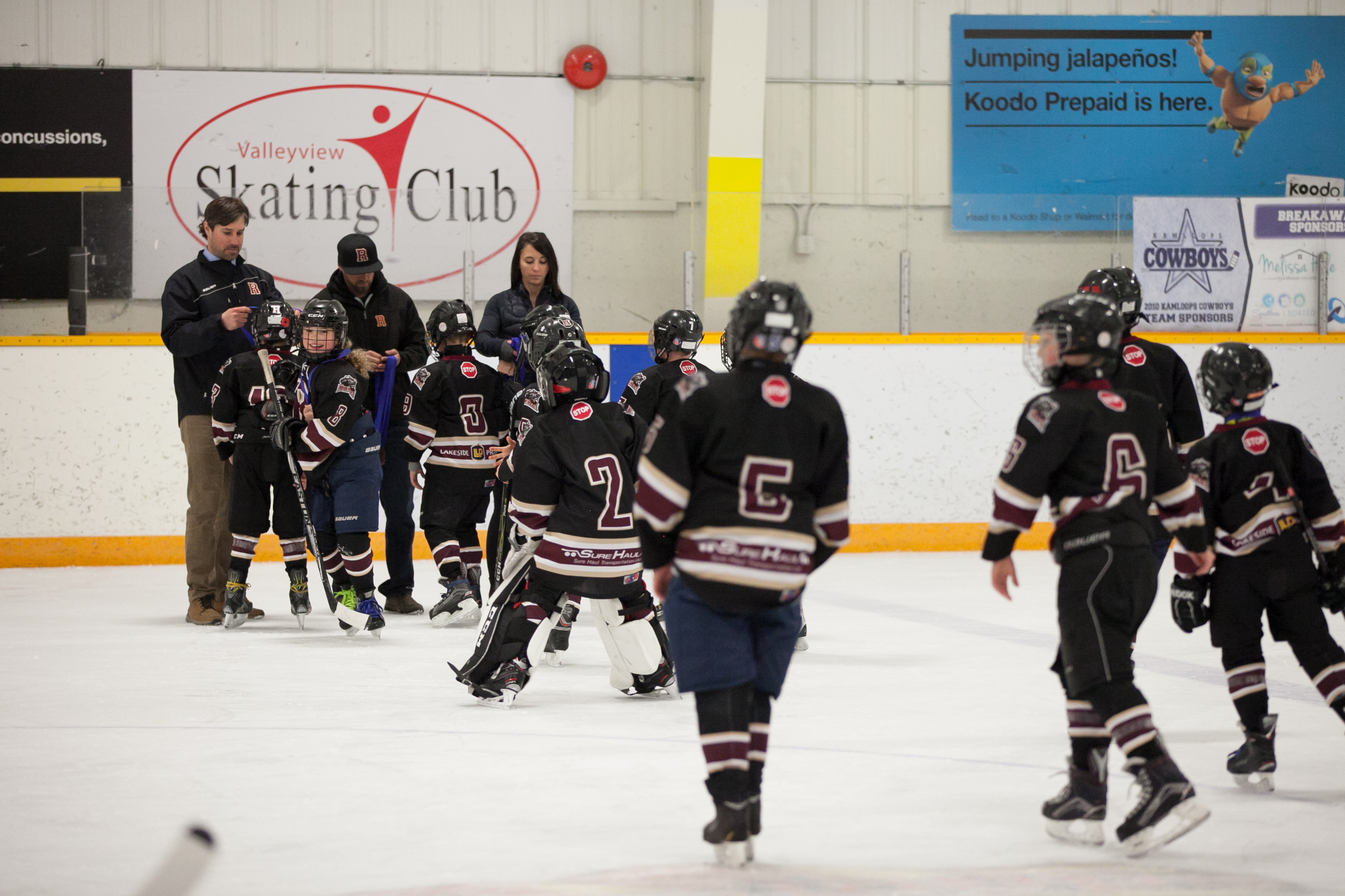 Revelstoke Minor Hockey Novice Spring Team Nets Third Place in