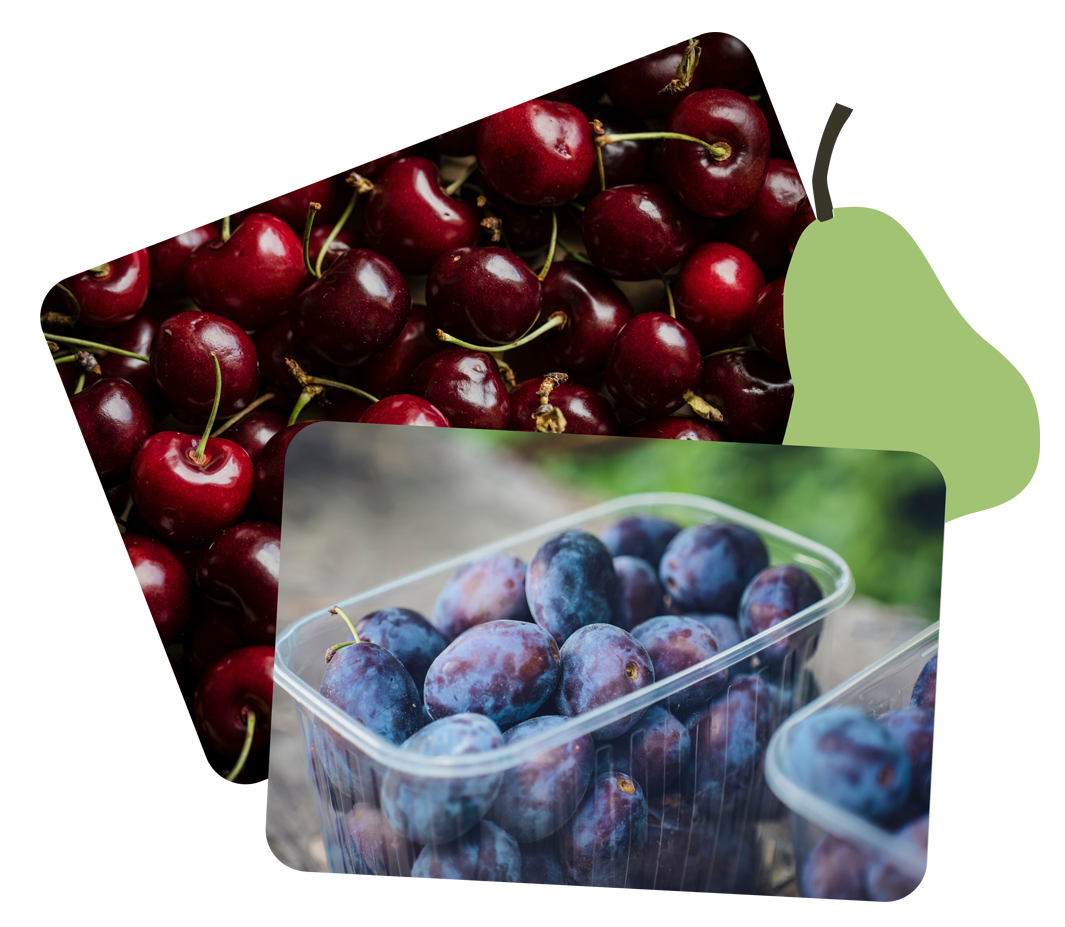 Fruit tree map Revelstoke Fruit Share