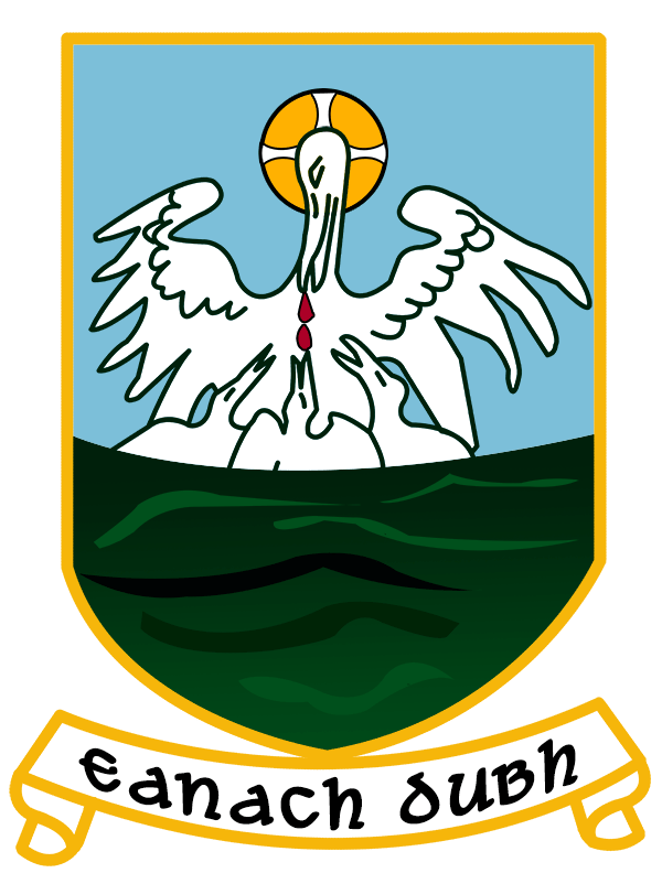 Crest Logo Rebuild for Annaduff GAA Reverb Studios Design