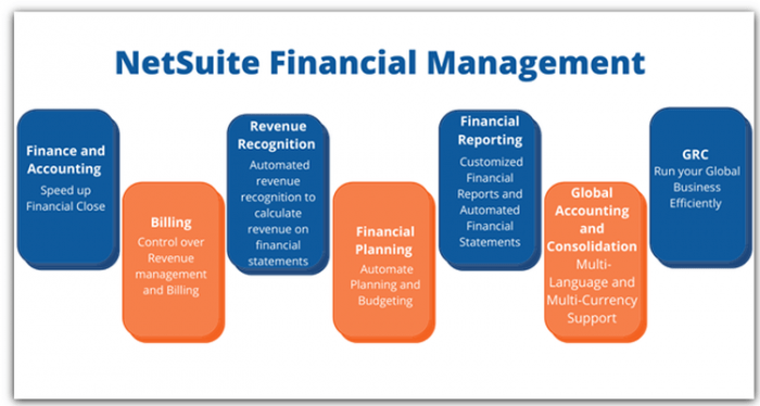 NetSuite Financial Management Solution RevGurus