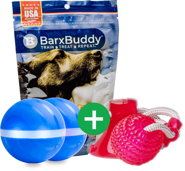 Barx busyball review 2021; the favourite interactive ball for all pets