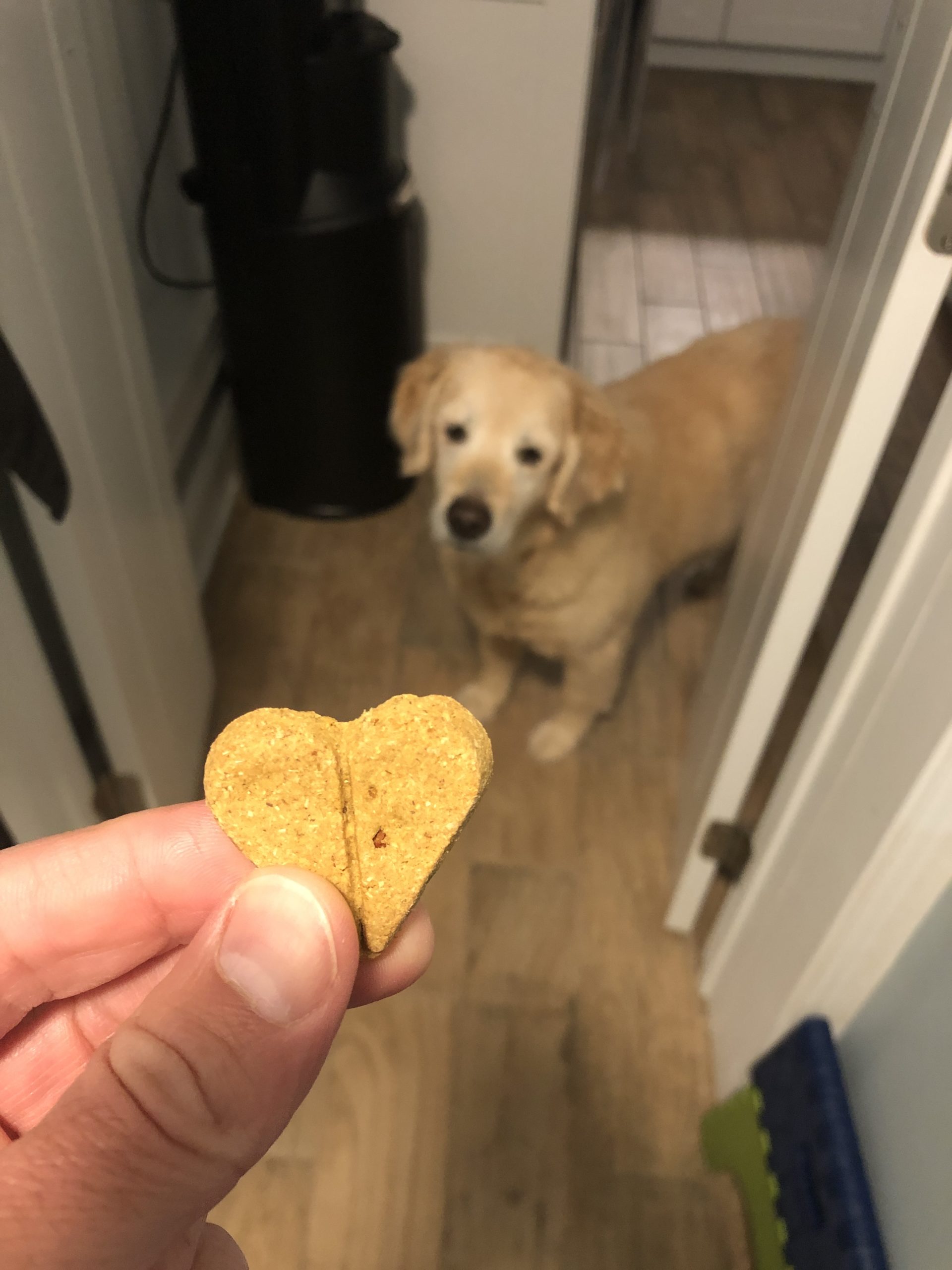 A Pocket Friendly Dog Treat For Training Puppies and Dogs Product
