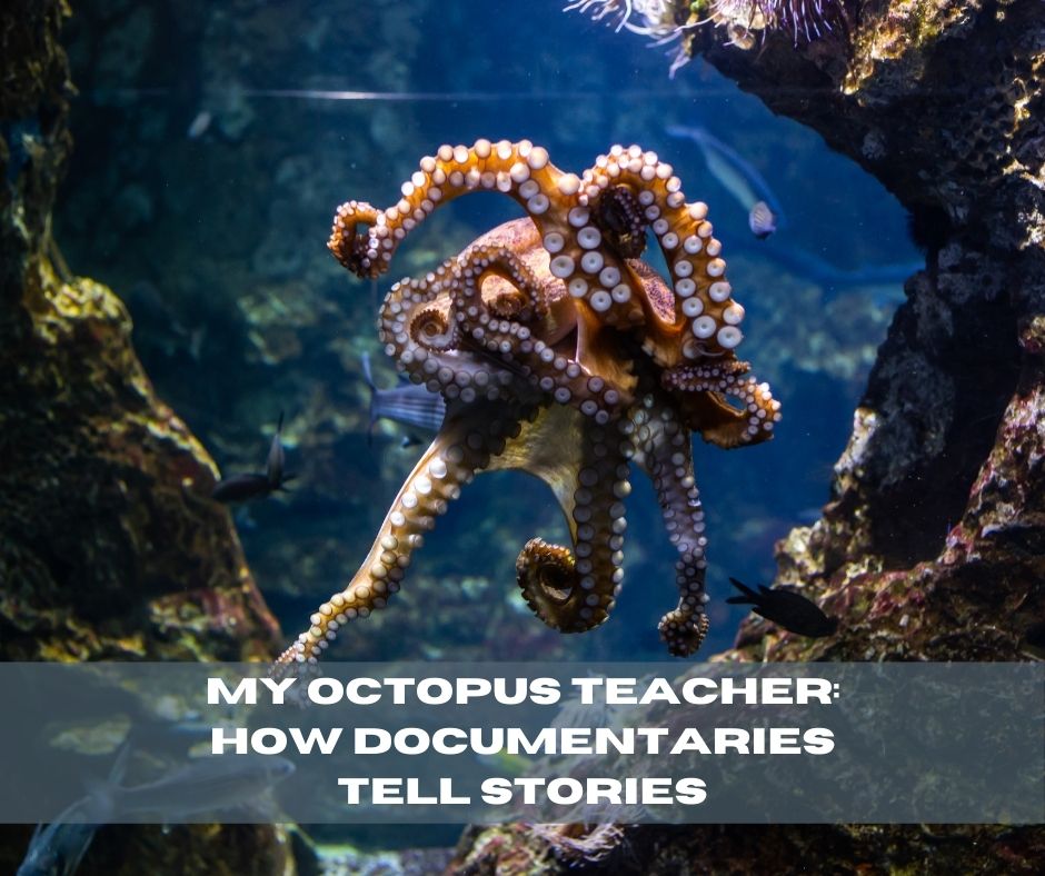 My Octopus Teacher How Documentaries Tell Stories