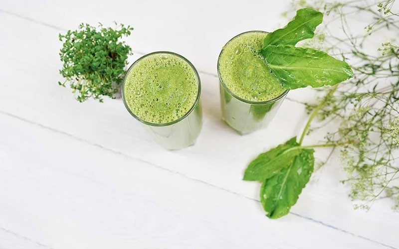 6 Healthy Smoothie Recipes to Stay Hydrated Reviewology