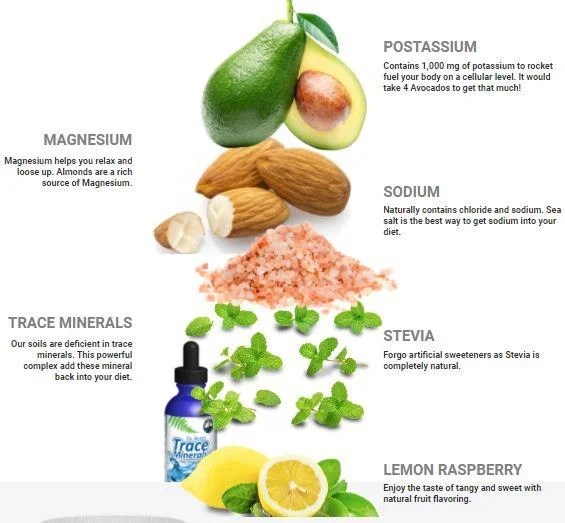 Dr. Berg's Electrolyte Powder Review Best Electrolyte Formula for Cells.