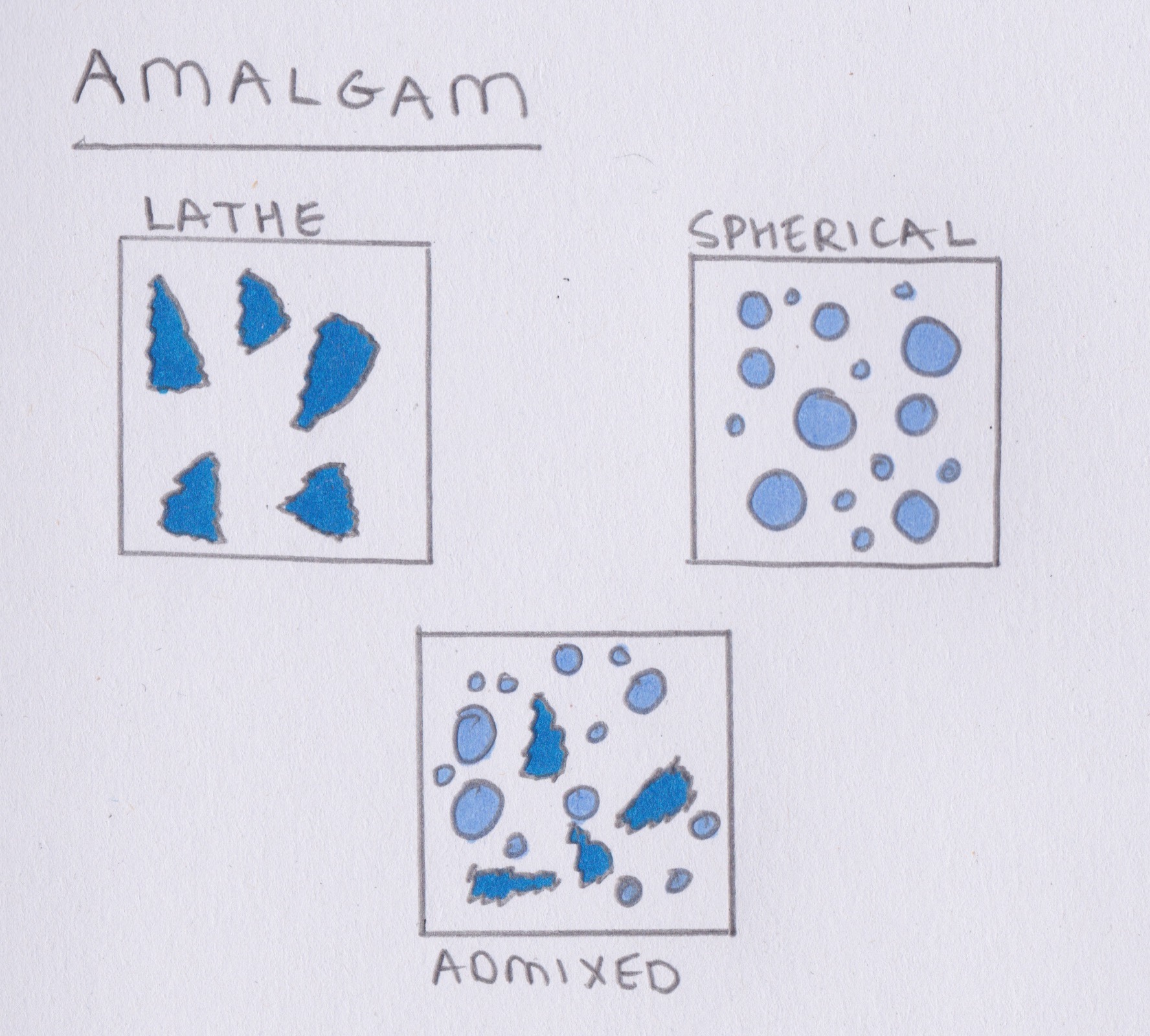 Direct Restorations Amalgam Revise Dental