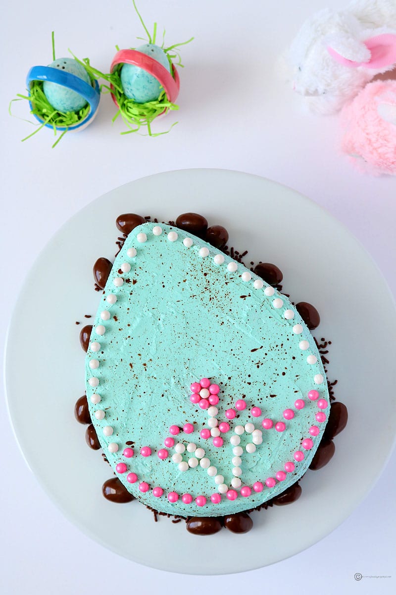 Speckled Chocolate Easter Egg Cake with Custard filling
