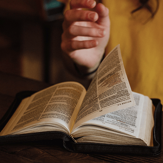 ¿Para qué sirve la Biblia? ¿Te lo has preguntado? Revista Vive