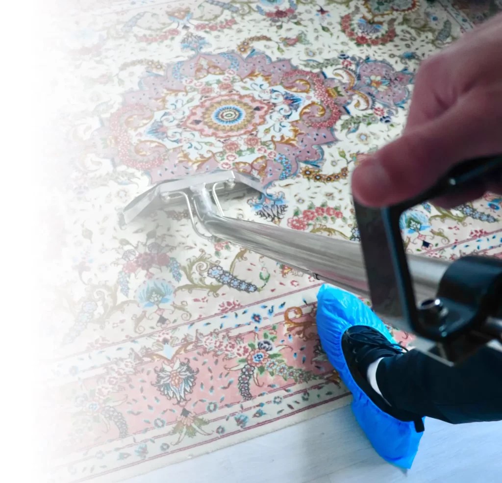 Professional Carpet Cleaning Colchester Steam Cleaning