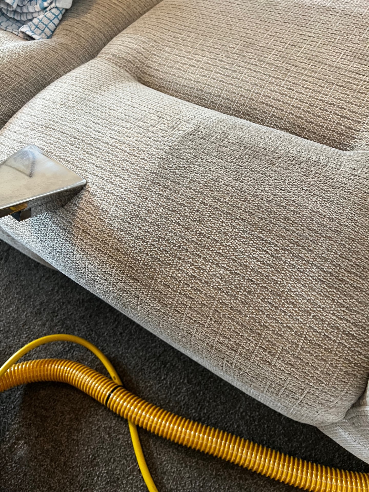 Upholstery Cleaning RevivePro