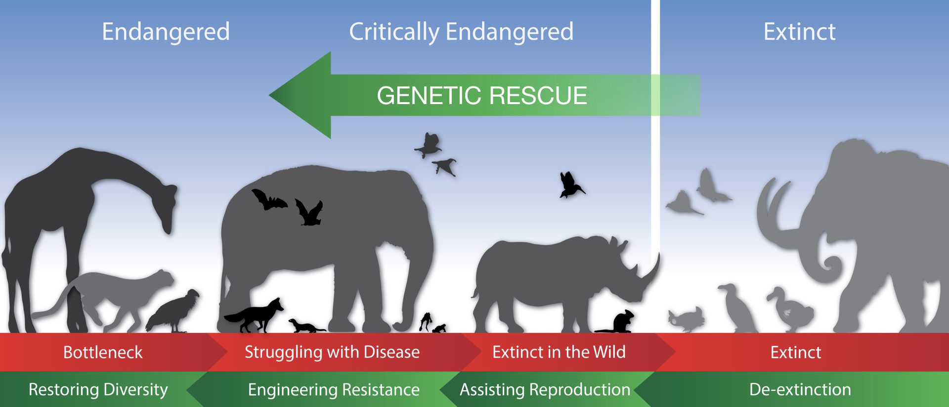 5 Biotechnologies That Might Help Save Endangered Species Revive