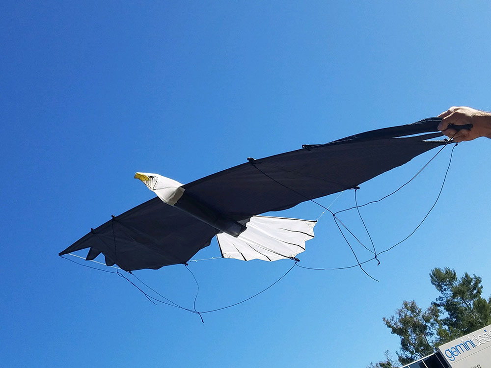 Revolution Eagle Revolution Kites