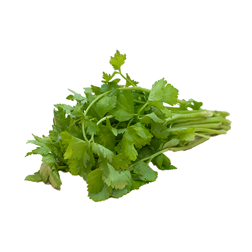 Celery Revolfoods