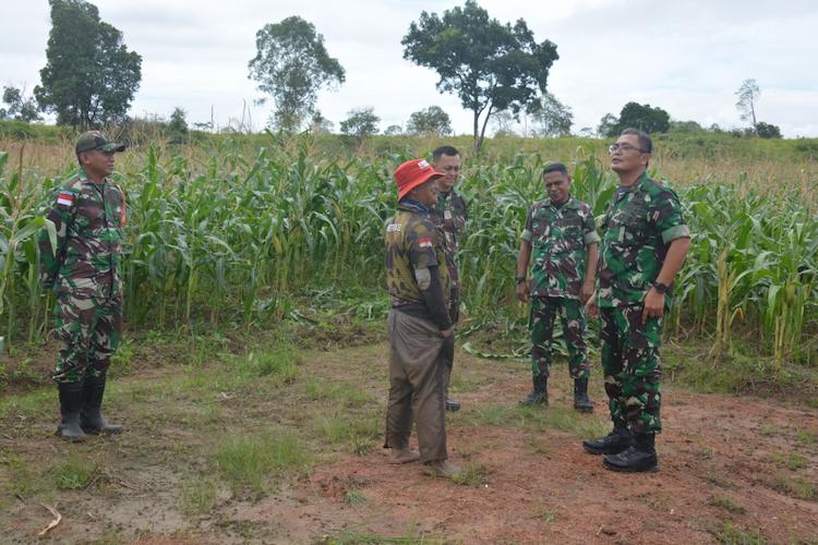 Korem 174/ATW (RNews) Korem 174/ATW (RNews)