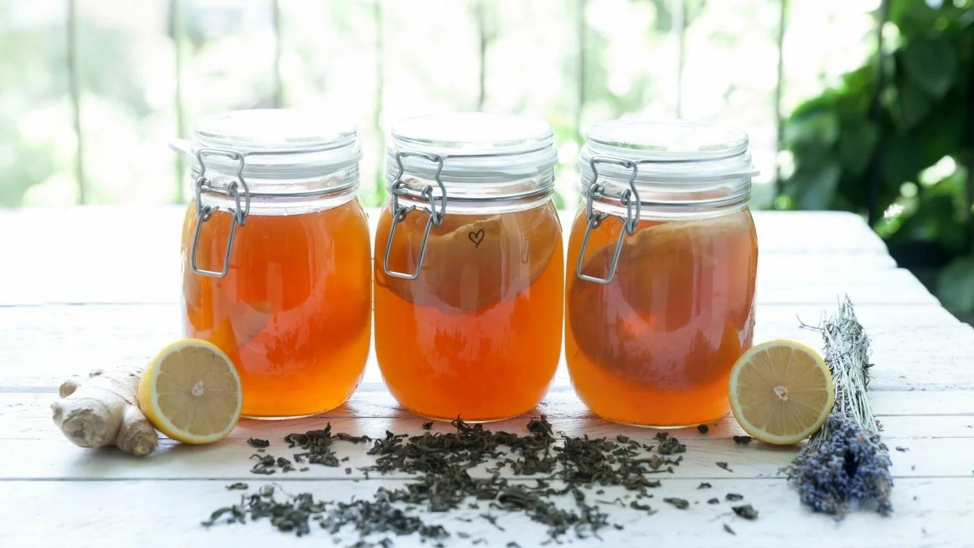 Dangers of Homemade Kombucha? Revolution Fermentation